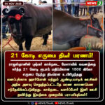 மது அருந்துவதில் தகராறு – ஒருவர் குத்திக்கொலை | Man Stabbed to Death After Dispute During Drinking in Tirunelveli