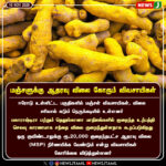 அரசு வேலைக்கு 19 பட்டங்கள் தகுதியிழப்பு | 19 Degrees Disqualified for Tamil Nadu Government Jobs