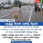 தங்கம் விலை குறைவு | Gold Price Drops in Chennai
