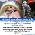 தமிழக அரசு இழப்பீடு வழங்க வேண்டும் | Tamil Nadu Government Must Provide Compensation