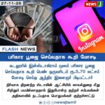 கஞ்சா செடி வளர்த்த முதியவர் சிக்கினார் | Elderly Man Arrested for Growing Ganja