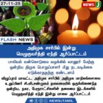 ஹாங்காங் அடுக்குமாடி தீ விபத்து – 44 பேர் பலி! | Hong Kong High-Rise Fire Claims 44 Lives