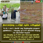 சிதறுகிறதா தமிழர் பண்பாடு? | Is Tamil Cultural Identity Fragmenting?