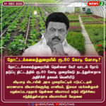 வணிக சிலிண்டர் விலை ரூ.10.50 உயர்வு | Commercial LPG Cylinder Price Hiked by ₹10.50